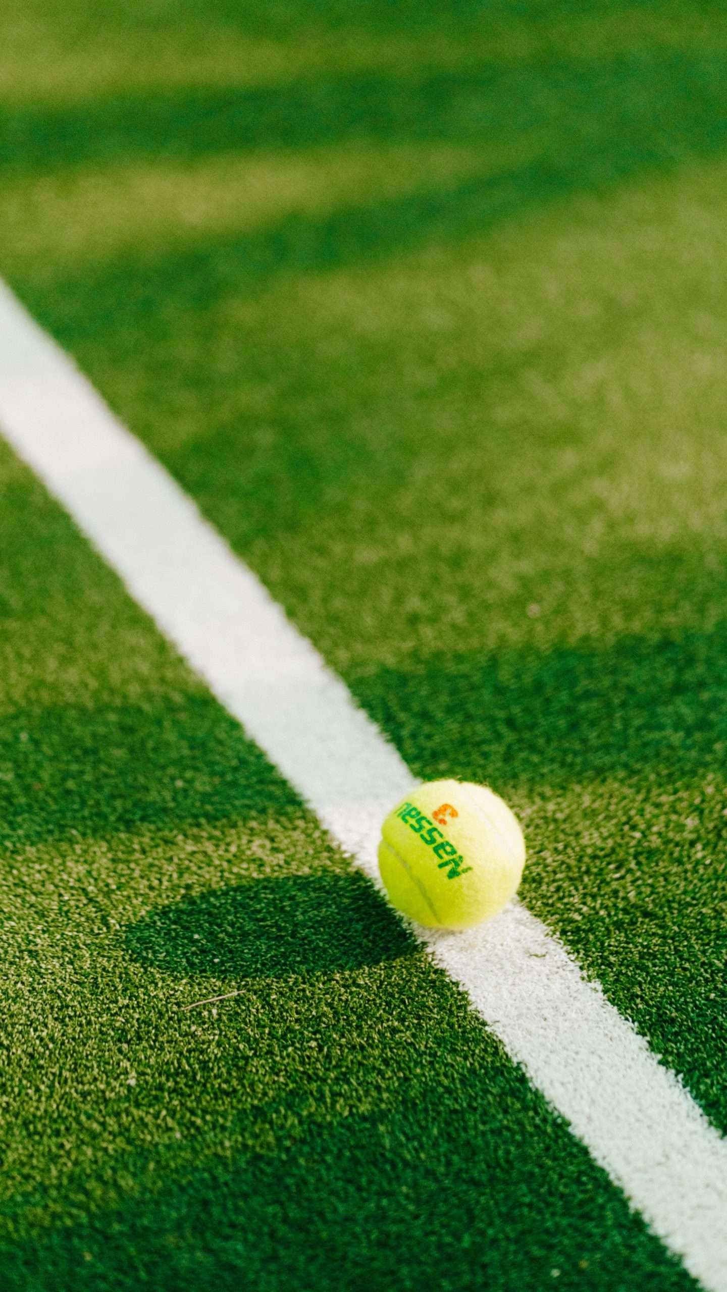 Sanur Padel club — photograph 2